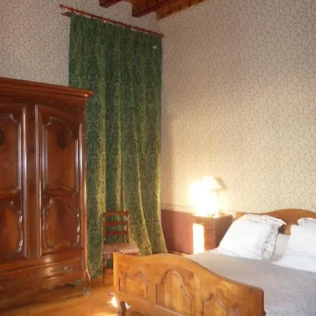 瓦莱盖城堡旅馆 3* Vallègue