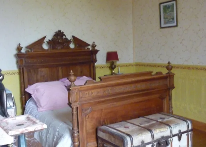 Chateau De Guest house Vallegue